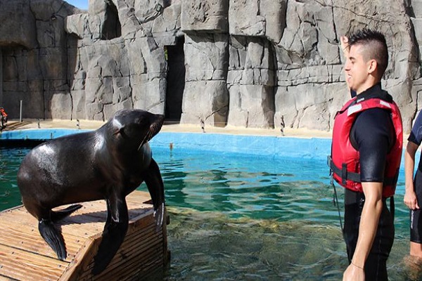 Zoo & Wildlife Parks in Madrid